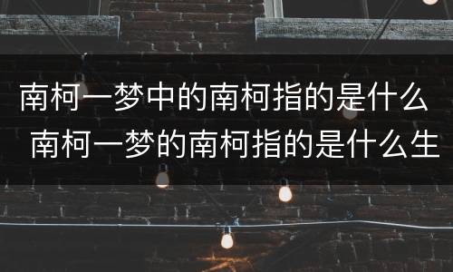 南柯一梦中的南柯指的是什么 南柯一梦的南柯指的是什么生肖