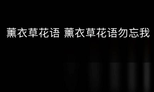 薰衣草花语 薰衣草花语勿忘我