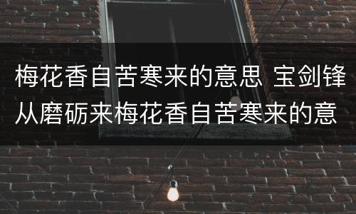 梅花香自苦寒来的意思 宝剑锋从磨砺来梅花香自苦寒来的意思