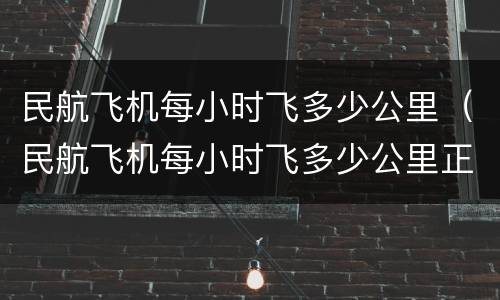 民航飞机每小时飞多少公里（民航飞机每小时飞多少公里正常）