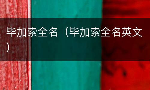 毕加索全名（毕加索全名英文）