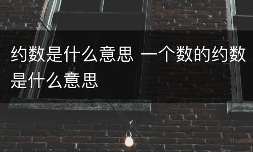 约数是什么意思 一个数的约数是什么意思