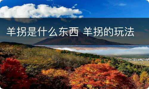 羊拐是什么东西 羊拐的玩法
