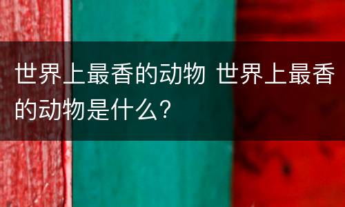 世界上最香的动物 世界上最香的动物是什么?