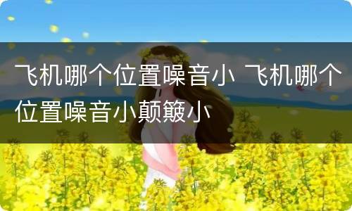 飞机哪个位置噪音小 飞机哪个位置噪音小颠簸小