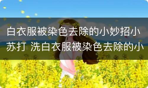 白衣服被染色去除的小妙招小苏打 洗白衣服被染色去除的小妙招