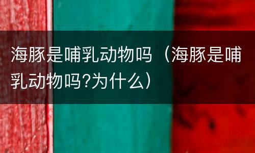 海豚是哺乳动物吗（海豚是哺乳动物吗?为什么）