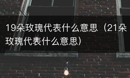 19朵玫瑰代表什么意思（21朵玫瑰代表什么意思）