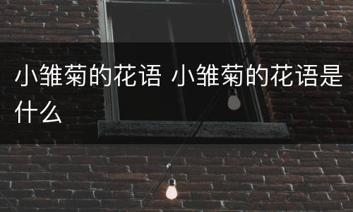 小雏菊的花语 小雏菊的花语是什么