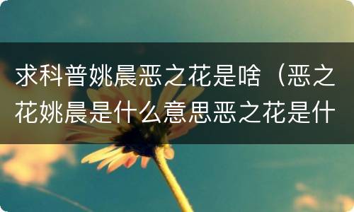 求科普姚晨恶之花是啥（恶之花姚晨是什么意思恶之花是什么事件）