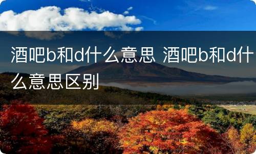 酒吧b和d什么意思 酒吧b和d什么意思区别
