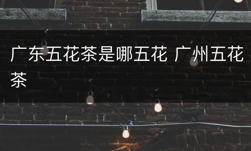 广东五花茶是哪五花 广州五花茶