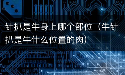 针扒是牛身上哪个部位（牛针扒是牛什么位置的肉）