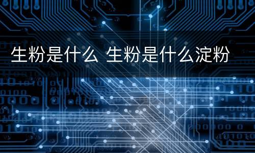 生粉是什么 生粉是什么淀粉