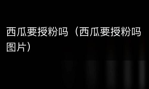 西瓜要授粉吗（西瓜要授粉吗图片）