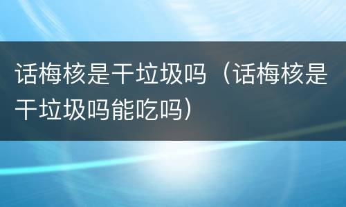 话梅核是干垃圾吗（话梅核是干垃圾吗能吃吗）