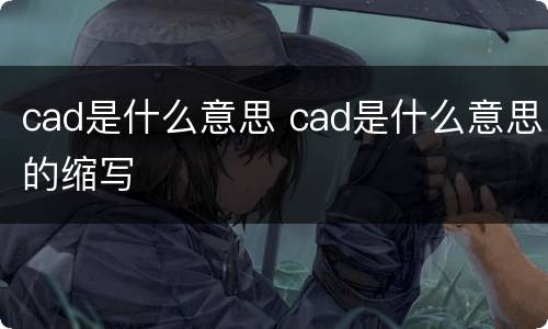 cad是什么意思 cad是什么意思的缩写