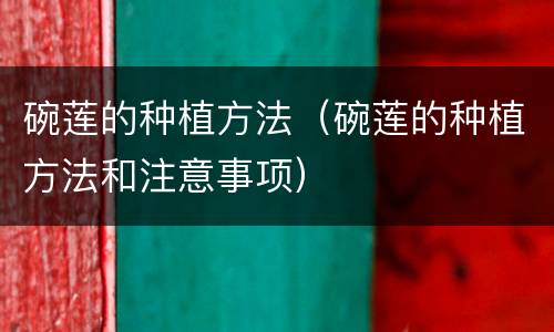 碗莲的种植方法（碗莲的种植方法和注意事项）