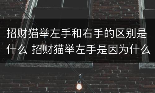 招财猫举左手和右手的区别是什么 招财猫举左手是因为什么