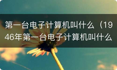 第一台电子计算机叫什么（1946年第一台电子计算机叫什么）