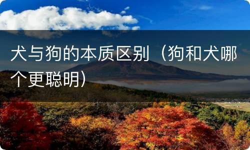 犬与狗的本质区别（狗和犬哪个更聪明）