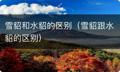 雪貂和水貂的区别（雪貂跟水貂的区别）