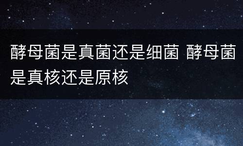 酵母菌是真菌还是细菌 酵母菌是真核还是原核