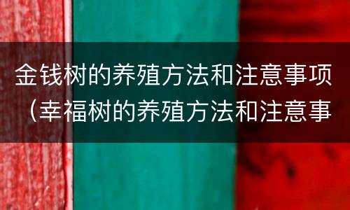 金钱树的养殖方法和注意事项（幸福树的养殖方法和注意事项）