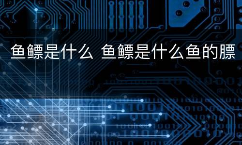 鱼鳔是什么 鱼鳔是什么鱼的膘