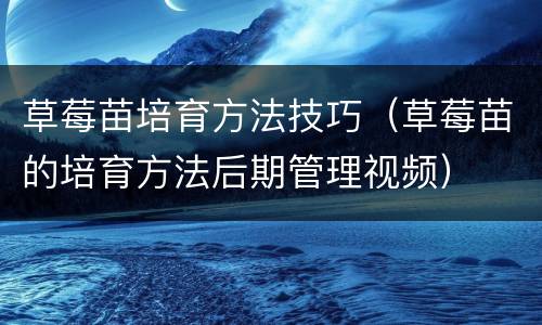 草莓苗培育方法技巧（草莓苗的培育方法后期管理视频）