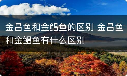金昌鱼和金鲳鱼的区别 金昌鱼和金鲳鱼有什么区别