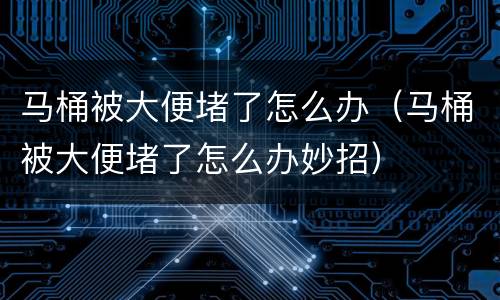 马桶被大便堵了怎么办（马桶被大便堵了怎么办妙招）