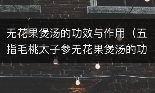 无花果煲汤的功效与作用（五指毛桃太子参无花果煲汤的功效与作用）