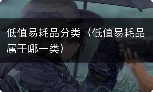 低值易耗品分类（低值易耗品属于哪一类）