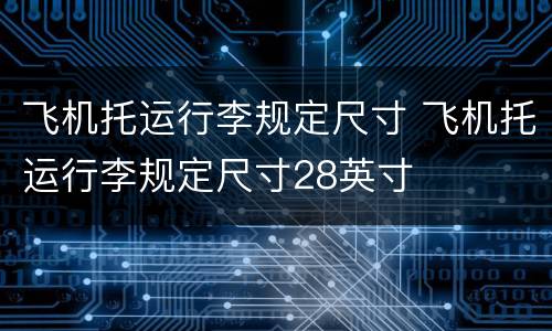 飞机托运行李规定尺寸 飞机托运行李规定尺寸28英寸