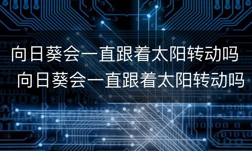 向日葵会一直跟着太阳转动吗 向日葵会一直跟着太阳转动吗为什么