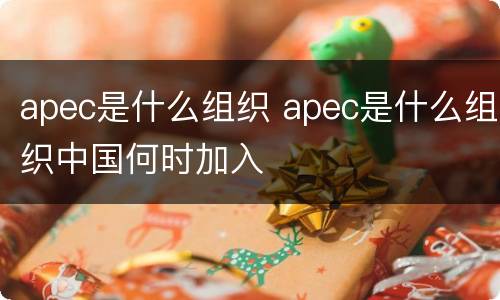 apec是什么组织 apec是什么组织中国何时加入
