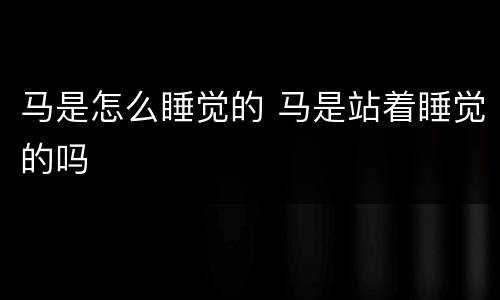 马是怎么睡觉的 马是站着睡觉的吗