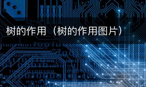 树的作用（树的作用图片）