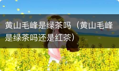 黄山毛峰是绿茶吗（黄山毛峰是绿茶吗还是红茶）