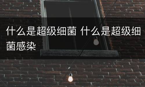 什么是超级细菌 什么是超级细菌感染