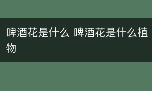 啤酒花是什么 啤酒花是什么植物