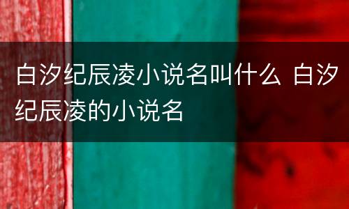 白汐纪辰凌小说名叫什么 白汐纪辰凌的小说名