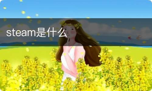 steam是什么