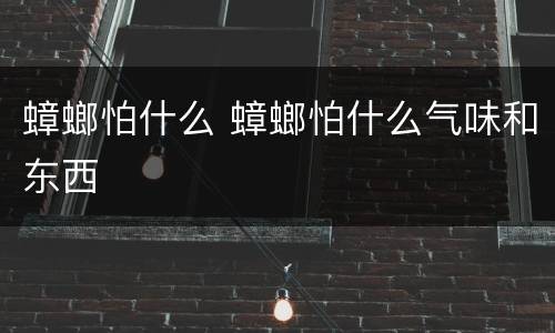 蟑螂怕什么 蟑螂怕什么气味和东西