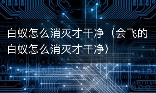 白蚁怎么消灭才干净（会飞的白蚁怎么消灭才干净）