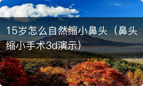 15岁怎么自然缩小鼻头（鼻头缩小手术3d演示）