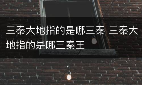三秦大地指的是哪三秦 三秦大地指的是哪三秦王