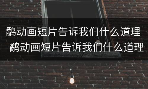 鹬动画短片告诉我们什么道理 鹬动画短片告诉我们什么道理面对困难