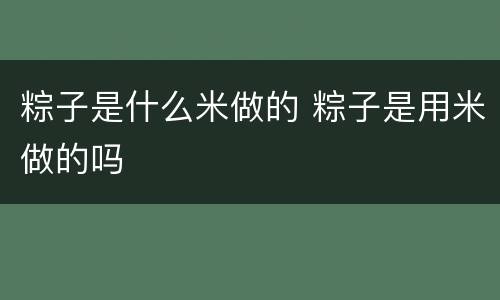 粽子是什么米做的 粽子是用米做的吗